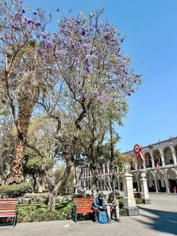 one day in Arequipa itinerary