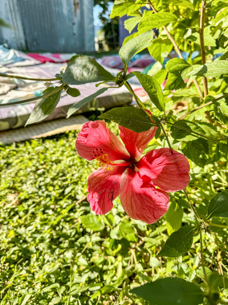 Yasawa Islands Fiji itinerary