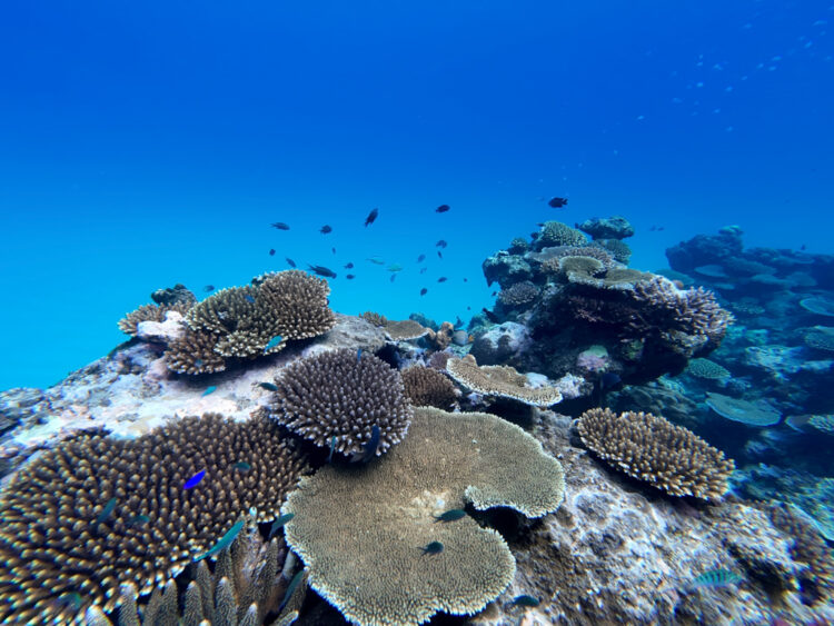 Yasawa Islands Fiji itinerary