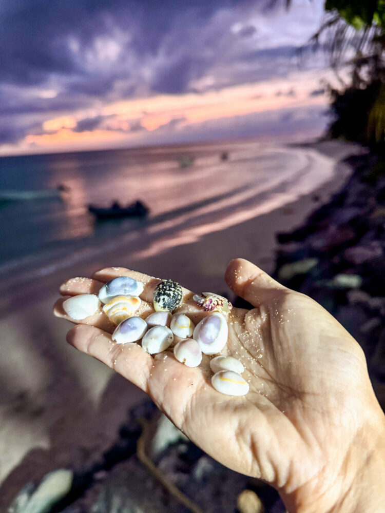 Yasawa Islands Fiji itinerary