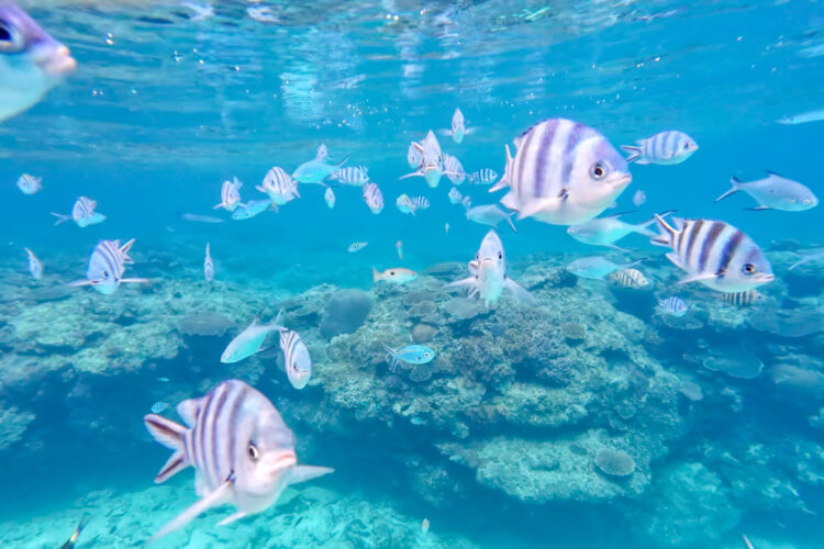 Yasawa Islands Fiji itinerary