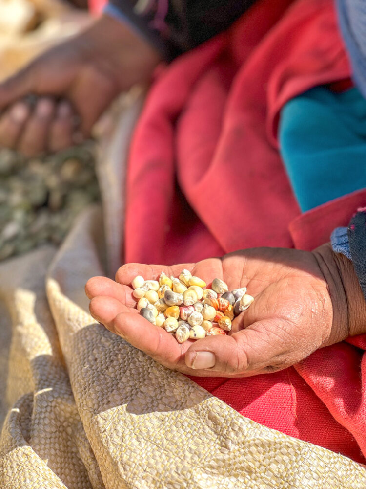 Lake Titicaca 2 day itinerary