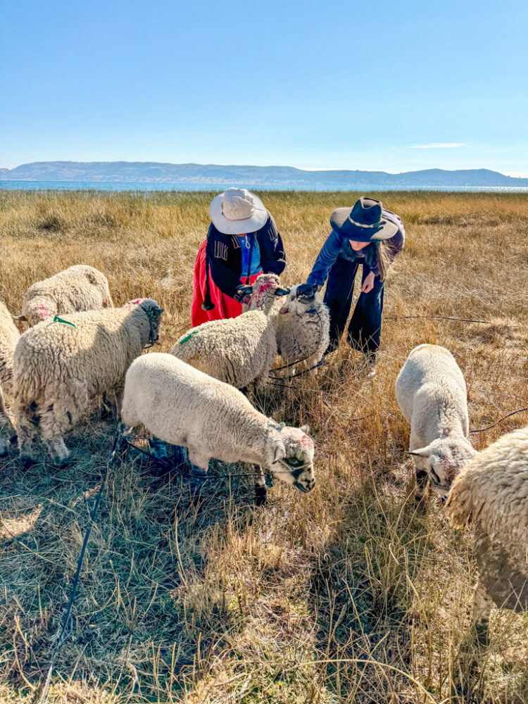 Lake Titicaca homestay