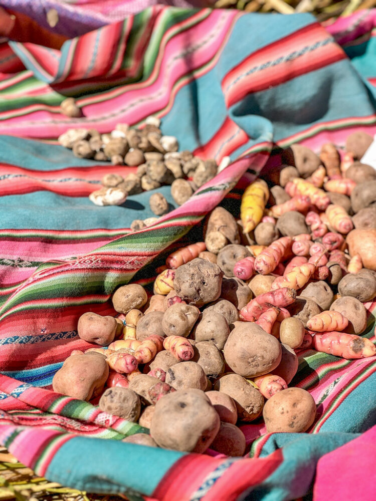 2 days in Lake Titicaca