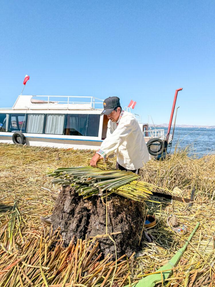 Lake Titicaca homestay